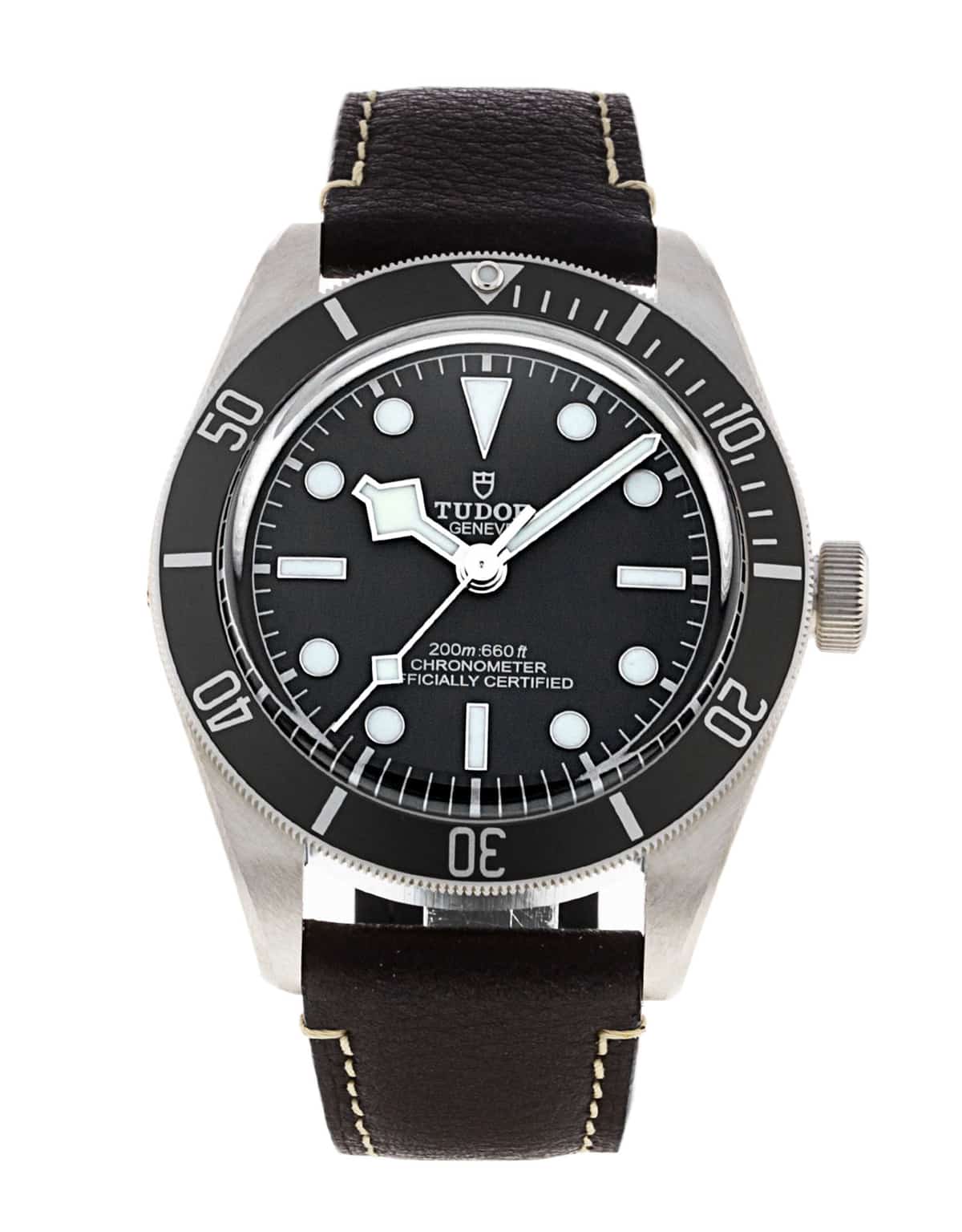 Tudor Black Bay M79010SG-0001